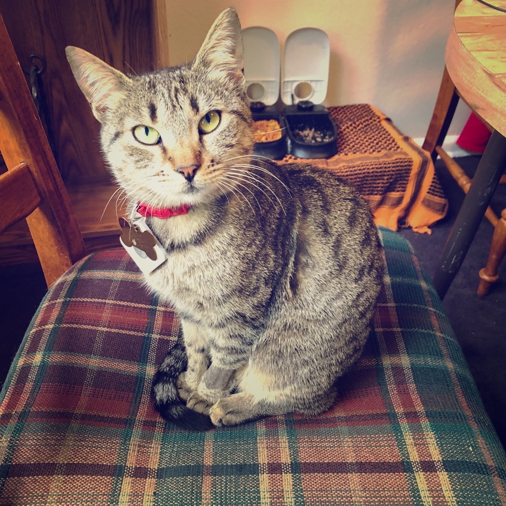 Meet your Posher, Kathryn